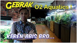 Visit Aquascape Gallery "O2 AQUATICS" - Wow, banyak banget ilmu-nya...