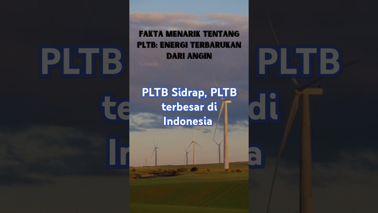 PLTB Sidrap, PLTB terbesar di Indonesia #energiterbarukan #indonesia