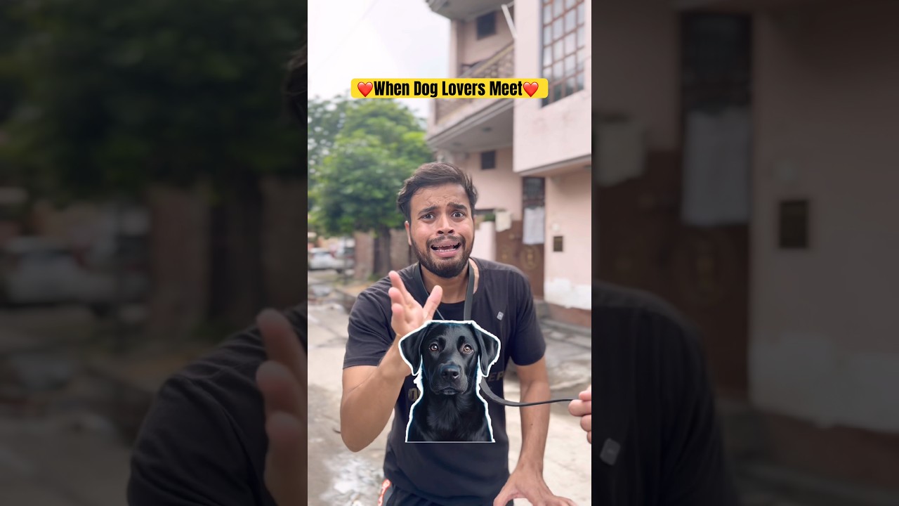 ❤️when two dog lovers meet❤️ #shorts #trending