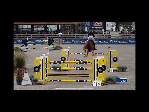 Gracieuse de la Cense 145 CSI3* Lier 