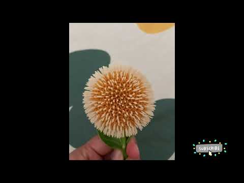 E flower aite naku bhaga nachindhi Miku nachite like cheyandi 😊 | Ravali’s Vlogs