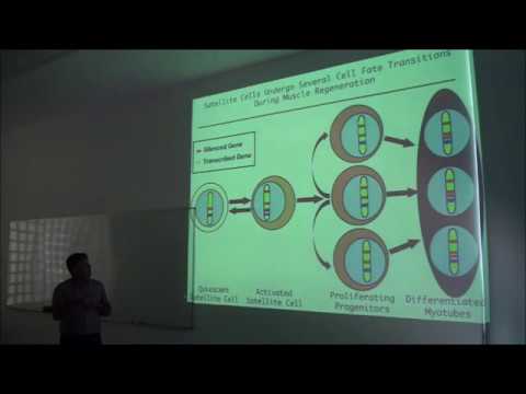 IMBB SEMINAR- Jeff DILWORTH, October 5th 2017 @ 13:00