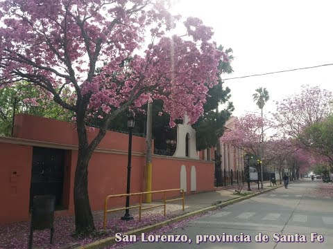 COPLAS DE LA ORILLA   4tos.grados 2020