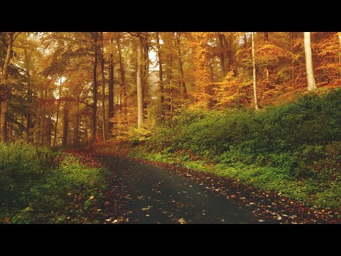 "JA ĆU GA SVOJOM RUKOM UVESTI U DŽENNET..." || dr. Safet Kuduzović