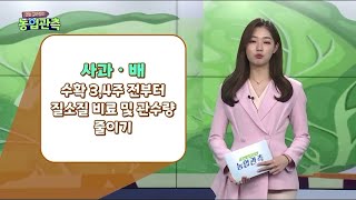 [영농길라잡이 농업관측] 2022년 8월 과일·과채