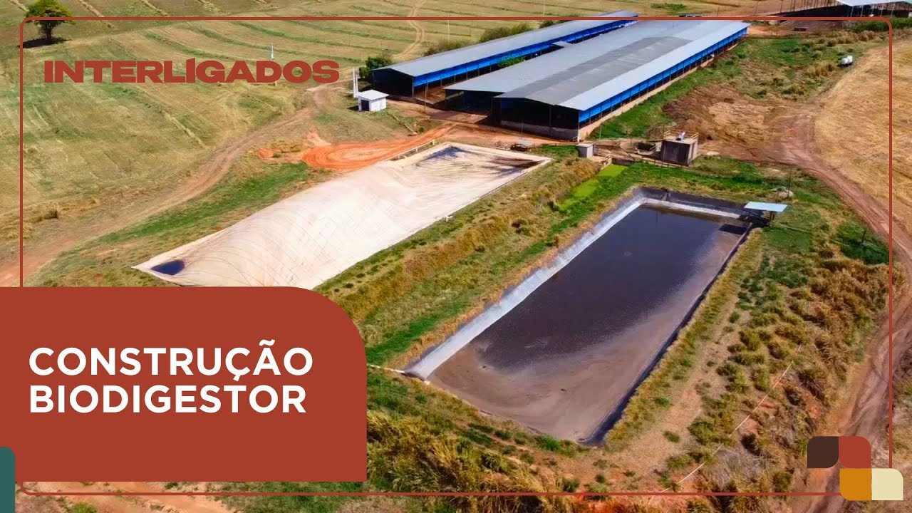 Veja os passos que você produtor deve seguir para instalar um biodigestor