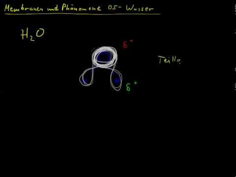 Membranen und Phänomene 05 - Wasser