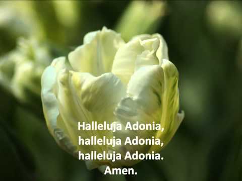 Halleluja Adonia - Opwekking 731