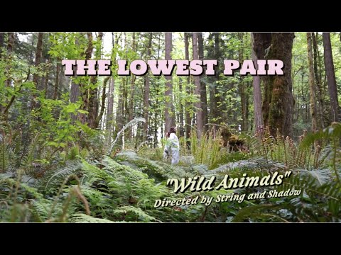 Play Video Youtube Video