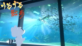 【すろずろ散歩 #２１4】マリンワールド海の中道へ行きたい！【VRChat散策】