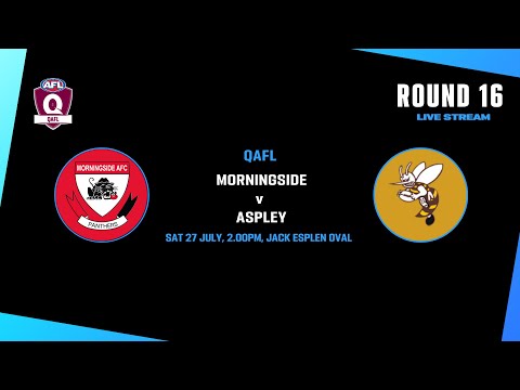 LIVE QAFL ROUND 16 - Morningside v Aspley