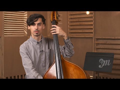 Upright Bass Technique 101  - Lesson 5 : Muting The Sound