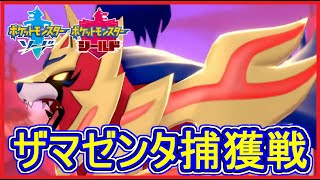 ザマゼンタ ポケットモンスター ラビフット ヨワシ ビビヨン