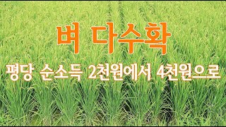 벼농사 소득 두배로 올리기- 1평당 순소득 2천원을 4천원으로(논 임대 기준)