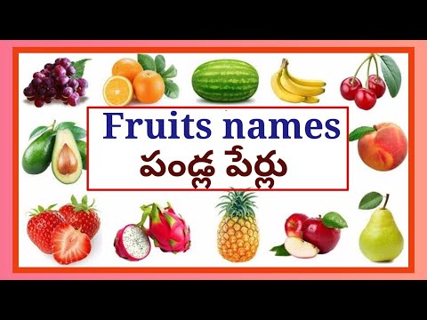 Names of Fruits in English & Telugu/పండ్లు వాటి పేర్లు@lightningminds1