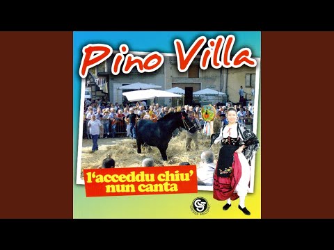 Pippinedda culu tisu