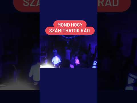 Bizniszband lakodalmas és mulatós zenekar - 2