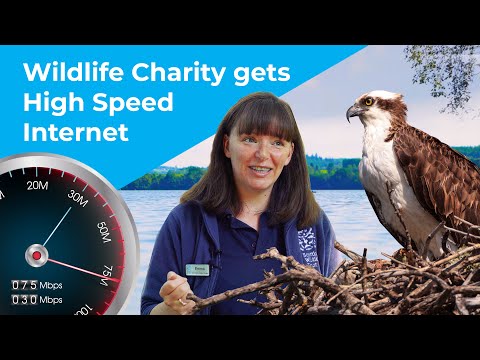 Scottish Wildlife Trust - Customer Success Story (Emma Castle-Smith - Visitor Centre Assistant Manager)