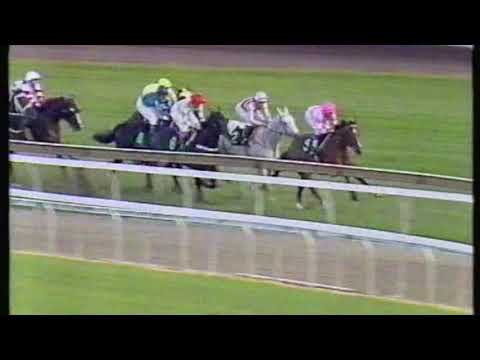 1995 George Ryder Stakes - Hareeba/March Hare