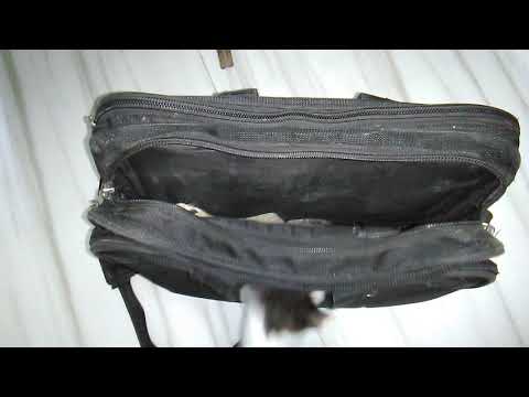 My pet cats playing inside the bag