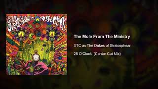 XTC as TDoS - Mole From The Ministry (Center Cut L/R Isolation Mix)