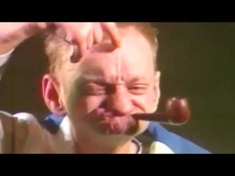 PENUS the dingdongsong