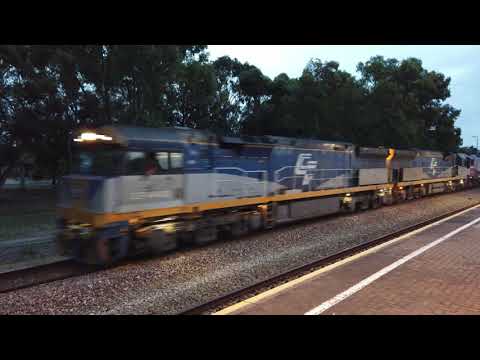 CF4410 +CF4403 + CSR002