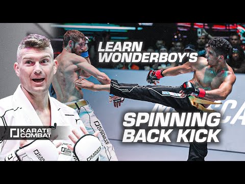 How to SPINNING BACK KICK with Stephen WONDERBOY Thompson
