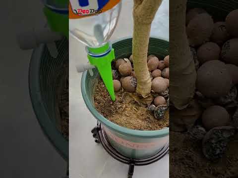 Garden Watering Tools