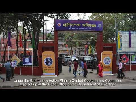 প্রাণিসম্পদ ভিডিও