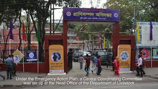 ডকুমেন্ট্রি