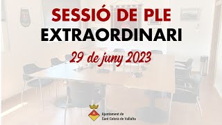 Ple extraordinari 29 de juny de 2023