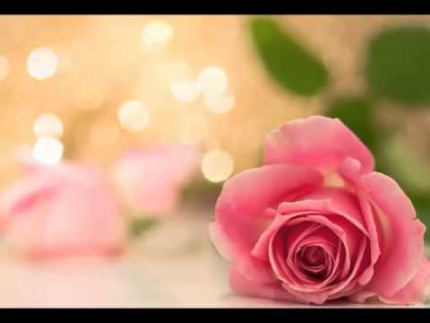 Dragoljub Lazarević - Gde to kažu ima lepih seka