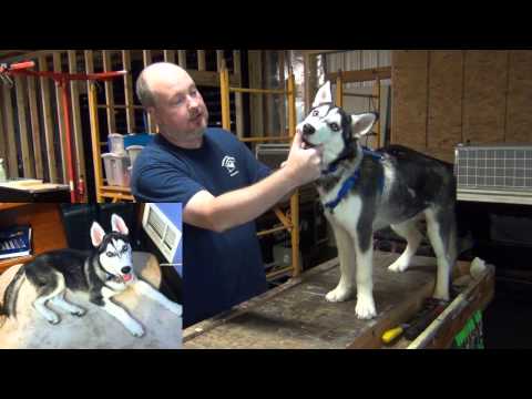 Meet Benny our Tame Wolf (OK, not really, but he is Bat Dog!)