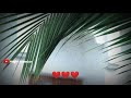 Beautiful Raining Barish Shayari Status Rain Whatsapp Status Rain Whatsapp Status Video Rain Day