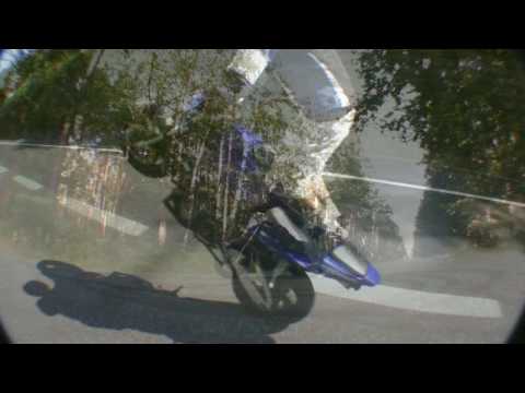 Street Terror Crew 2008