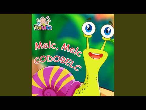 Melc, Melc codobelc