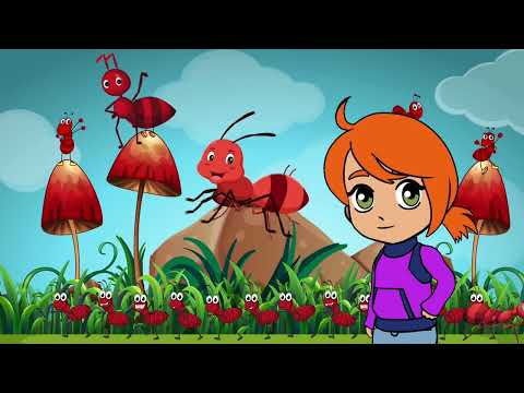 Explore Fun Facts About Insects! | Educational Cartoon For Kids