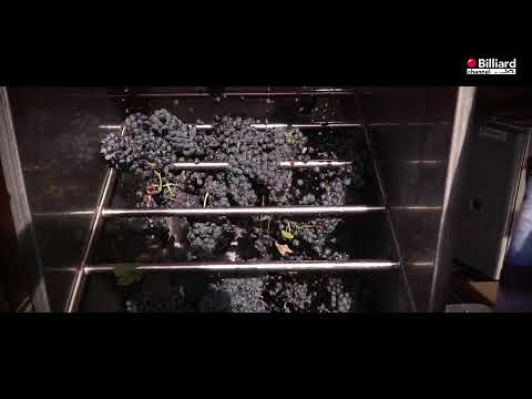 Greco Pasquale Luca VS Borroni Fabrizio - Campionato Italiano 2023 - Alba