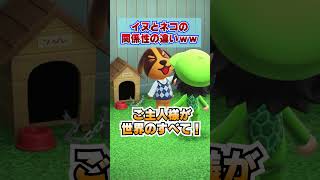 イヌとネコの関係性の違いｗｗｗ [あつまれどうぶつの森]