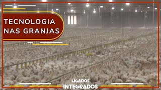 Miniatura do vídeo