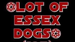 A lot of Essex dogs 105 MASHUP