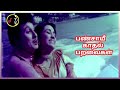 Bansaayee பண்சாயீ காதல் MSV TMS L R ESWARI