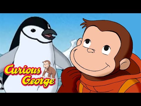 Finding the Lost Penguins! 🐵 Curious George 🐵 Kids Cartoon 🐵 Kids Movies