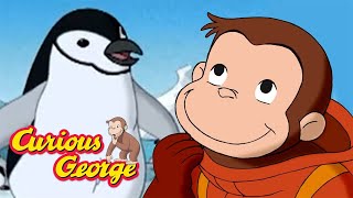 Finding the Lost Penguins! 🐵 Curious George 🐵 Kids Cartoon 🐵 Kids Movies