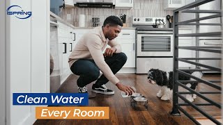 Total Home Water Protection: iSpring’s Full System in Action