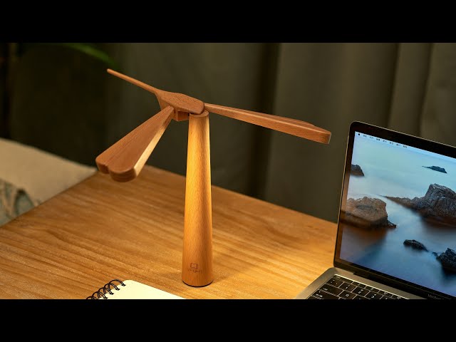 Вiдео Светильник на аккумуляторе Dragonflight Balance Light, Gingko