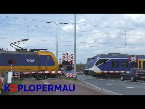 Spoorwegovergang Noordwijkerhout (AHOB) - Kruising IC Brussel en SNG