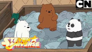 Una misión con tentáculos | Escandalosos | Cartoon Network