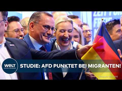 DEUTSCHLAND: Brisante Studie! AfD punktet bei Migranten! Vor allem eine Nationalität weit vorne